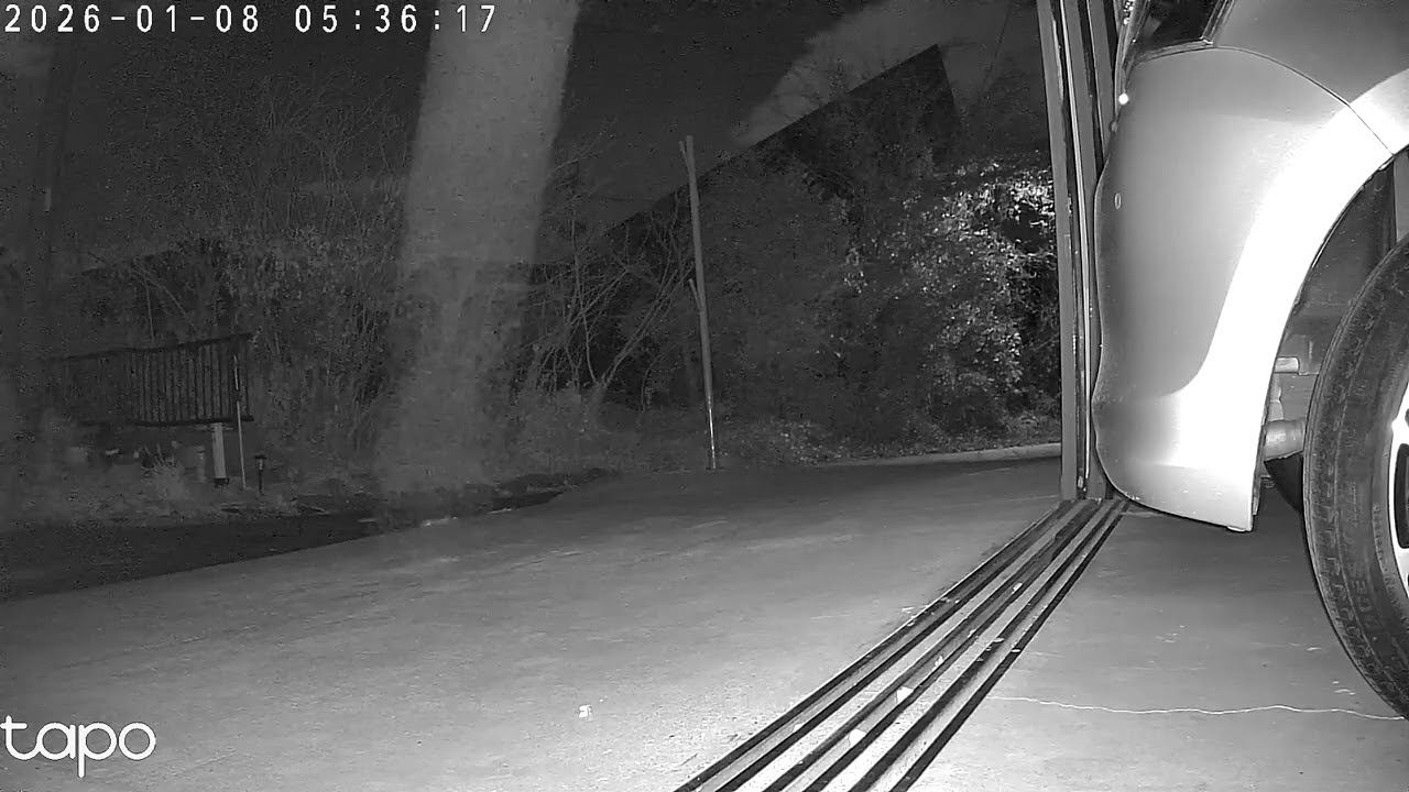 我が町の地域猫