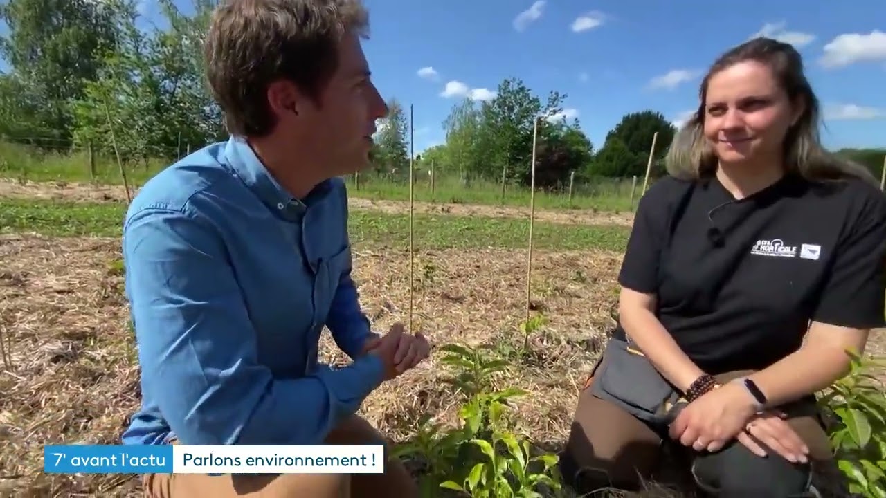 Environnement Bretagne - Le thé 100% breton