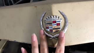 Welcome To Snow Leopard Garage