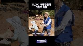 Treasure Map Ep.74 | 🐔 17,000 마리 닭들의 레전드 떼창 🐔