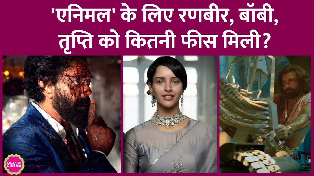 Animal में Ranbir Kapoor और Tripti Dimri की fees में जितना फर्क है, उसमें एक बड़ी पिक्चर बन सकती है