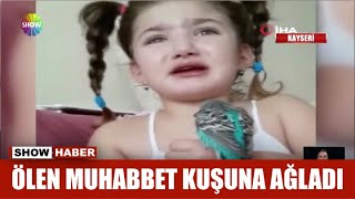 Ölen muhabbet kuşuna ağladı Resimi