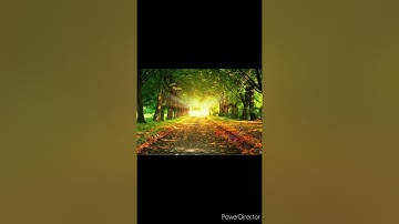 الليلة السابعة و الثامنة من صلاة التراويح للقارئ داود محداب مسجد عثمان ابن عفان _18/19 أفريل 2021