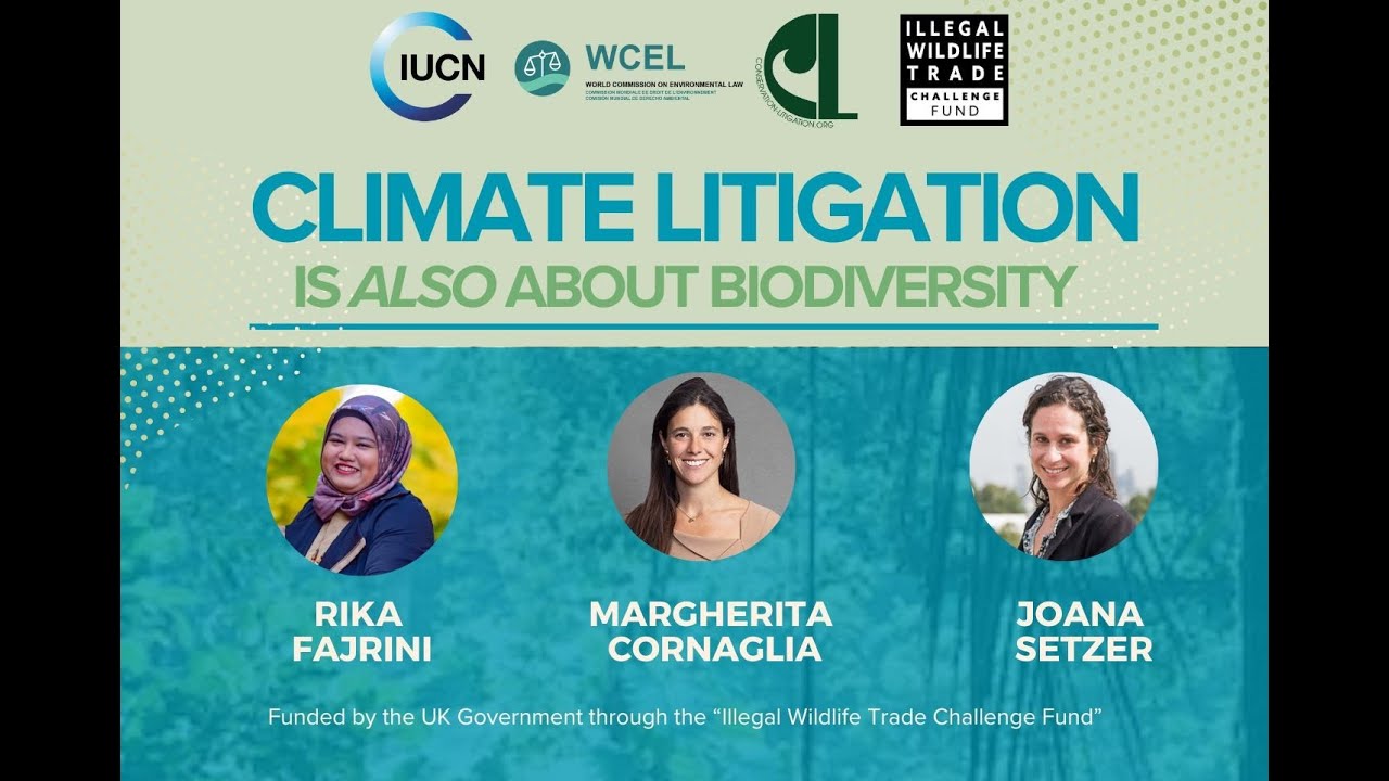Webinar: Climate Litigation is also about Biodiversity - YouTube