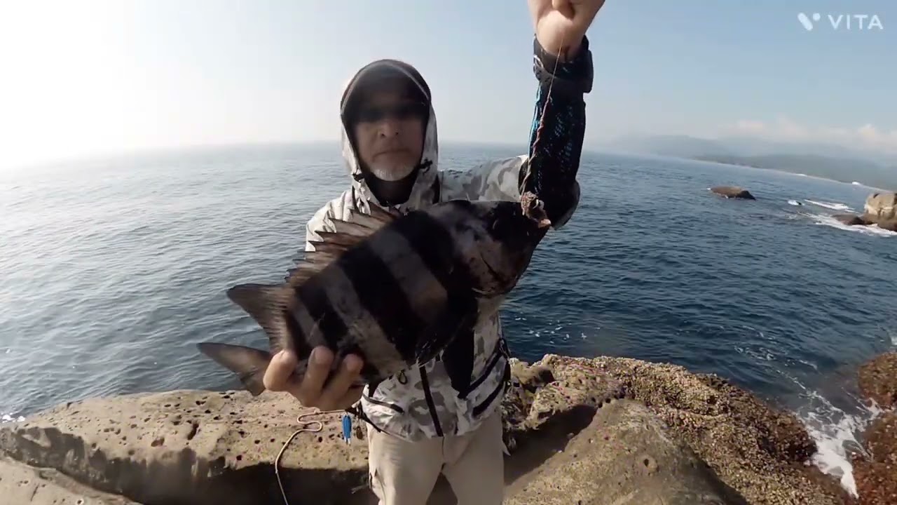 【高知県甲浦磯の石鯛釣りPart5】ウニを全然触らない時間が有りかなり厳しい釣りだった🎣😥