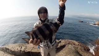 高知県甲浦磯の石鯛釣りPart5】ウニを全然触らない時間が有りかなり