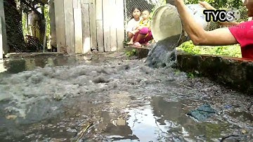 Tát ao bé cá to|Tôi yêu cuộc sống