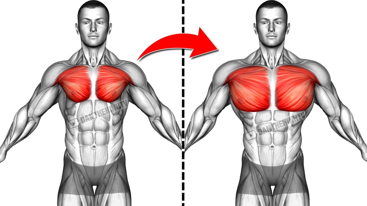 6 Most Effective Chest Workout for Mass and Symmetry - YouTube