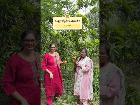 ఈ ఫ్రూట్స్ ఎప్పుడైనా తిన్నారా @MADGARDENER  #gardening  #farm  #fruit