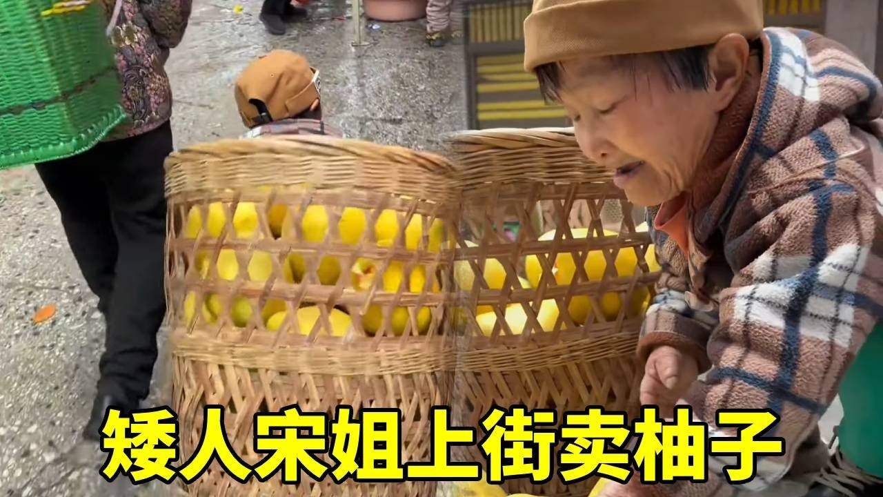 矮人宋姐上赶场卖柚子，没想到柚子和糍粑一样好卖，下次多带点来！#袖珍人 #农村生活