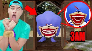 Thumbnail for O SONIC TAPES ENTROU NA MINHA CASA AS 3 HORAS DA MANHÃ (Deu ruim!!)