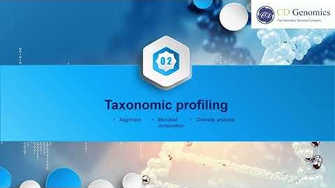 Bioinformatics analysis of 16S rRNA sequencing data