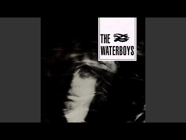 The Waterboys  -  December