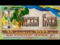 Служба Божа. 29 липня 2022 р.