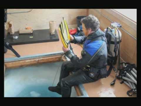 The Rock Bottom of Antarctica's Food Chain - Perspectives on Ocean Science