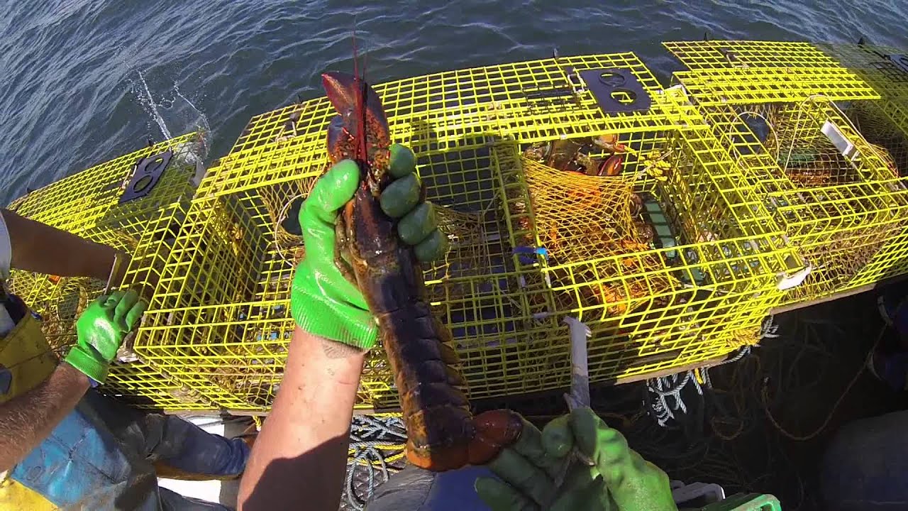 Lobstering Offshore Vinalhaven Maine 2013 YouTube