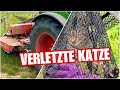 FEUERWEHR angerufen beim Mulchen 🚨🚜