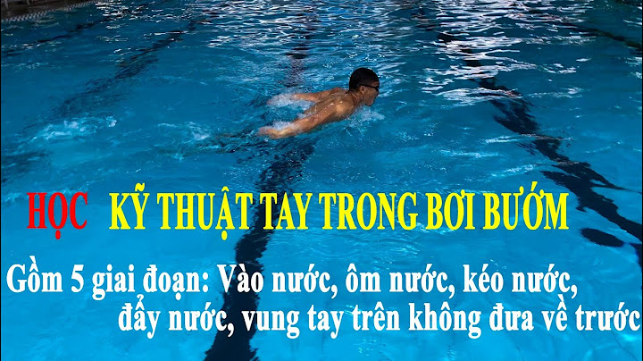 Hướng dẫn bơi bướm bằng hình ảnh