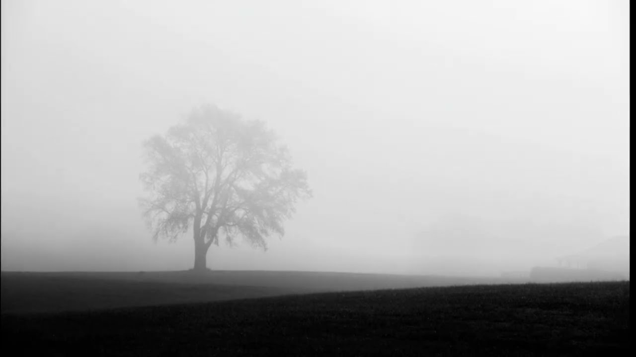 A Dark Field Where Dreams Fade (Dark Ambient • Atmospheric Soundscape)