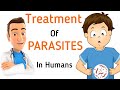 Natural Ways to Get Rid of Parasites in Human body| Dr. Vivek Joshi