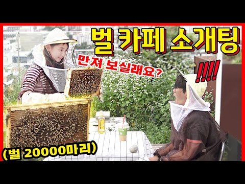 ENG/<strong>IDN</strong>/JPN] [몰카] 소개팅 장소가 벌들이 날아 다니는 이색 카페라면?!!! - [동네놈들｜HOODBOYZ]