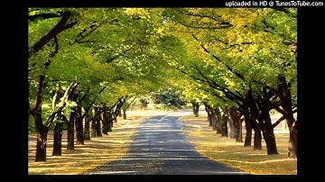 أواخر سورة الكهف - خالد الجليل