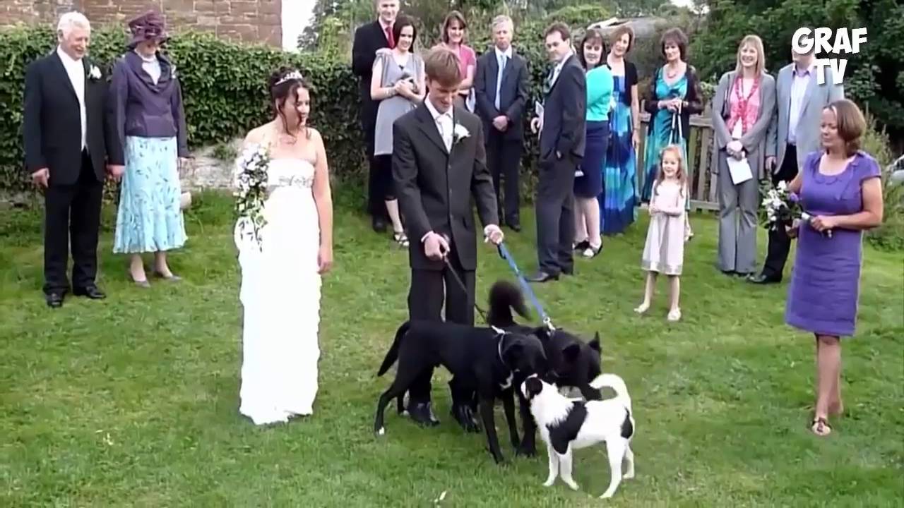 ЛУЧШИЕ ПРИКОЛЫ НЕДЕЛИ МАЙ 2016 СМЕШНОЕ ВИДЕО BEST WEEK Jokes May 2016