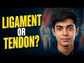 The Board Exam Question Everyone Gets Wrong About Joints