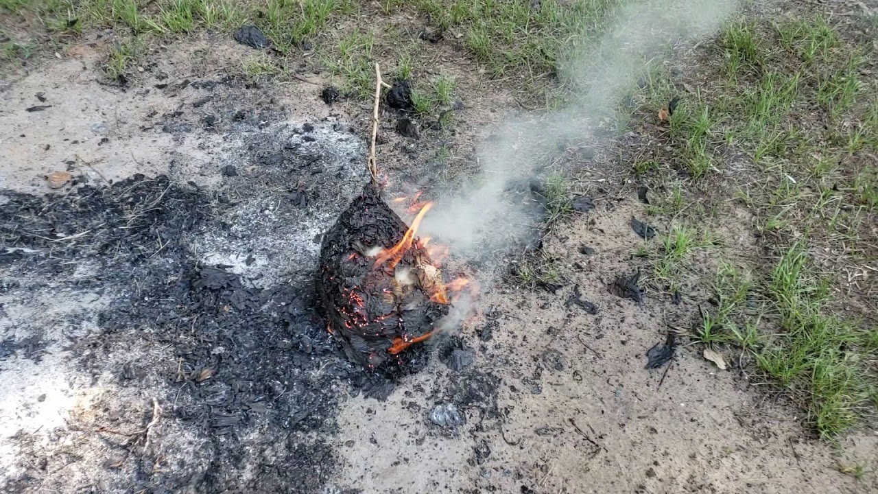 Burning Stuff 636 Large Wasp Nest YouTube