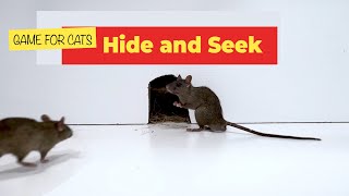 CAT GAMES Hide and Seek Mice Video for Cats to Binge Watch ( mice videos for cats to watch)