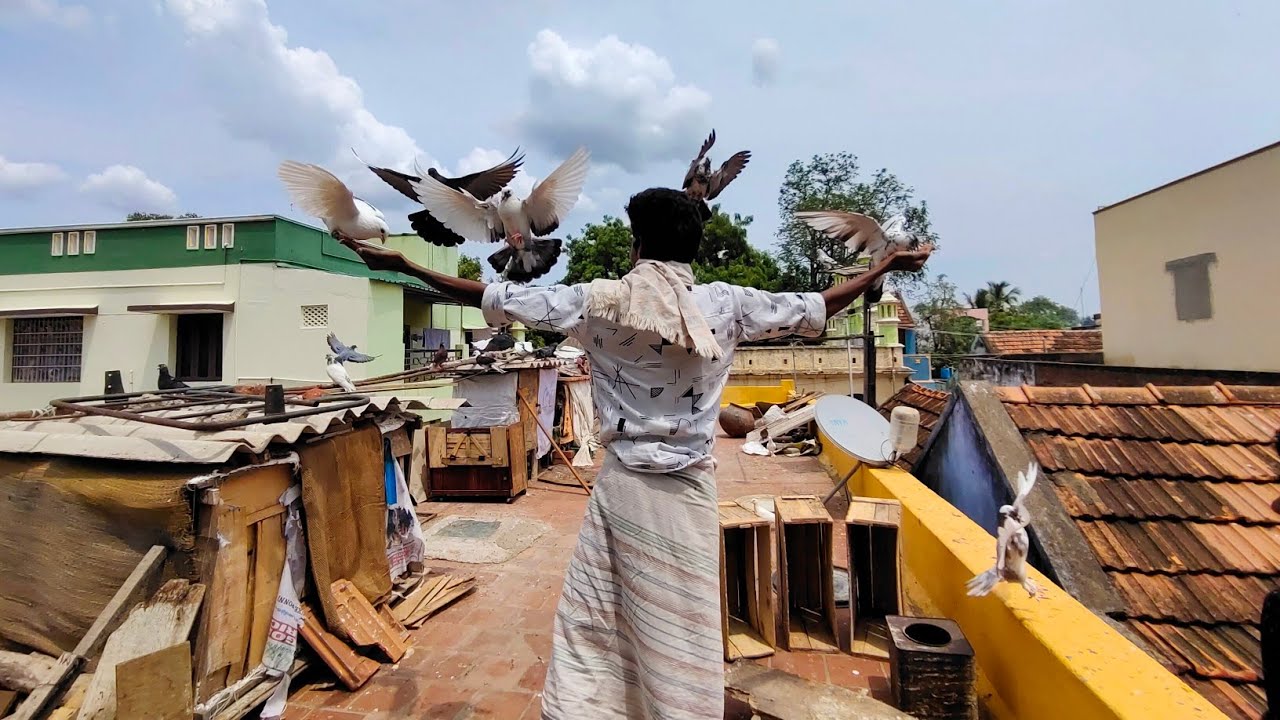 😍My Cage Clean || Kunji pura