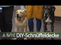 oh NÄH! – DIY-Schnüffelteppich für Hunde nähen - Teil 1 (Aufz. v. 25.02.2022)