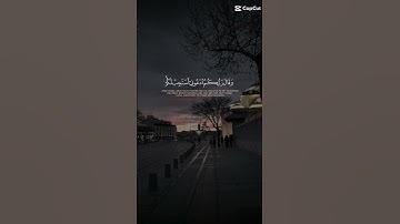 القران الكريم ♥️#حالات_دينية #اكسبلور #القرآن_الكريم #ايات #ايات_قرانيه_قصيره #القرآن_الكريم