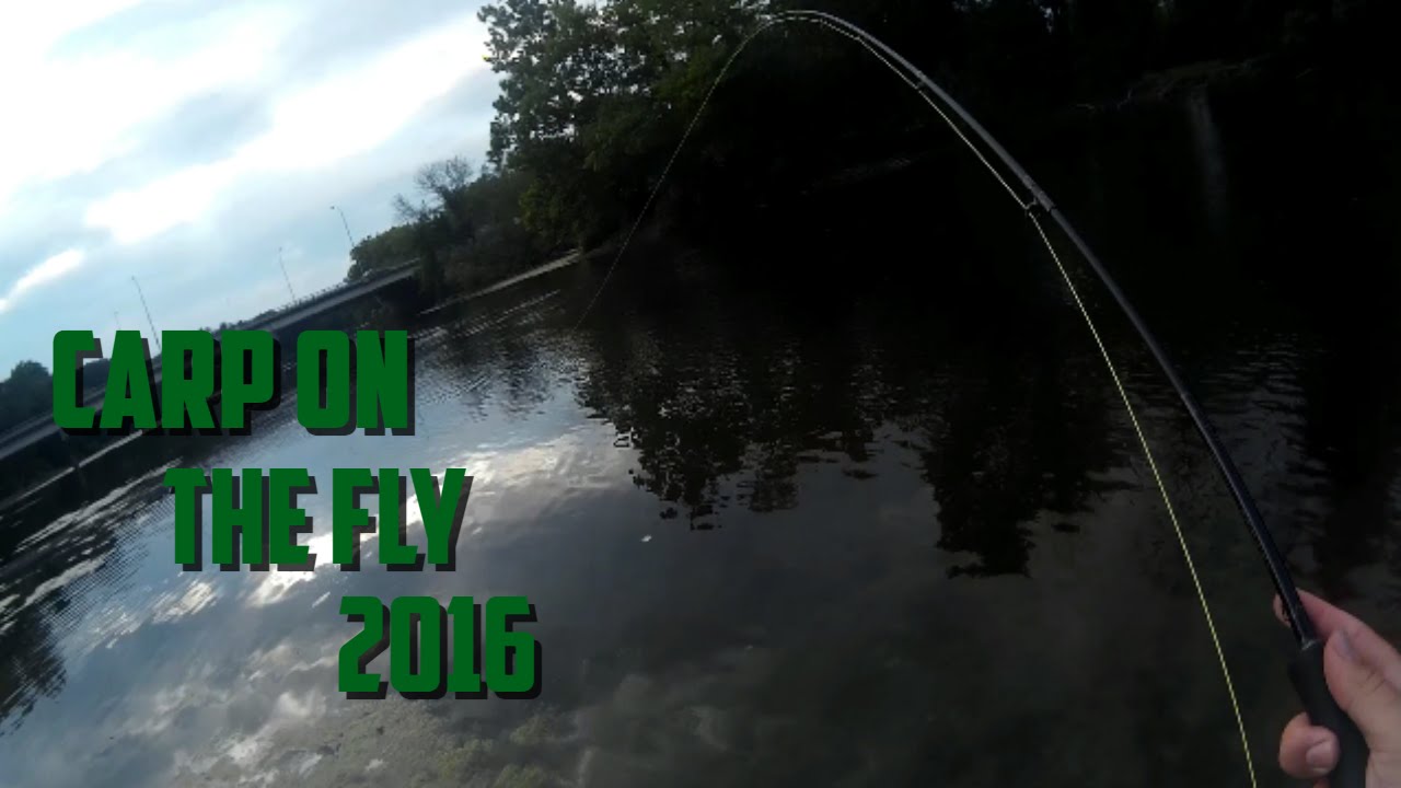 First Carp on The Fly Indiana 2016 small town crime