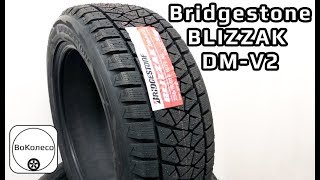 Bridgestone BLIZZAK DM-V2