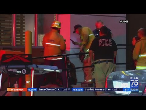 Homeless veteran shot in south L.A. dies