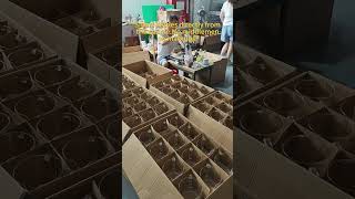 Cooperate with us, the startup capital threshold is super low.#capcut #kettle #electric