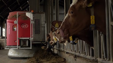 Lely Vector - Automatisch voersysteem