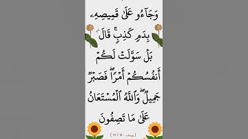 سورة يوسف الآية 18 #ايات_قرانيه_قصيره #القران_الكريم #الشيخ_الحصري #سورة_يوسف