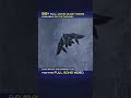 80+ FULL SONGS EDITED