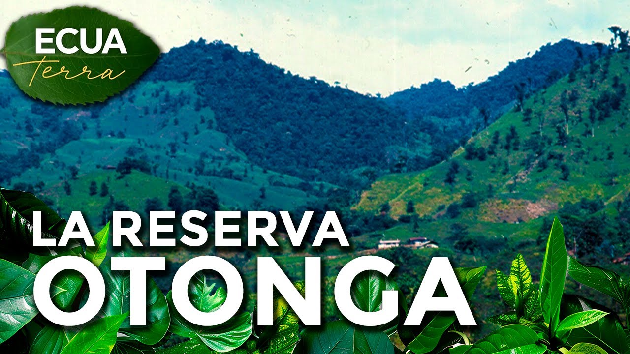 Ecuaterra🌱La reserva Otonga se extiende entre Cotopaxi, Pichincha y Santo Domingo | Ecuavisa