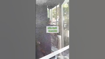 Cửa lưới inox 304 vẫn luôn được khách ủng hộ. Dễ sử dụng, độ bền cao, chống côn trùng kiến ba khoan