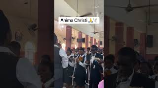 A prayer through song 🤍🎶 #fypシ #catholicchoir #animachristi #500k