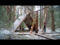 Je construis une grande cabane en rondins loin de la civilisation jus de bouleau chute de neige