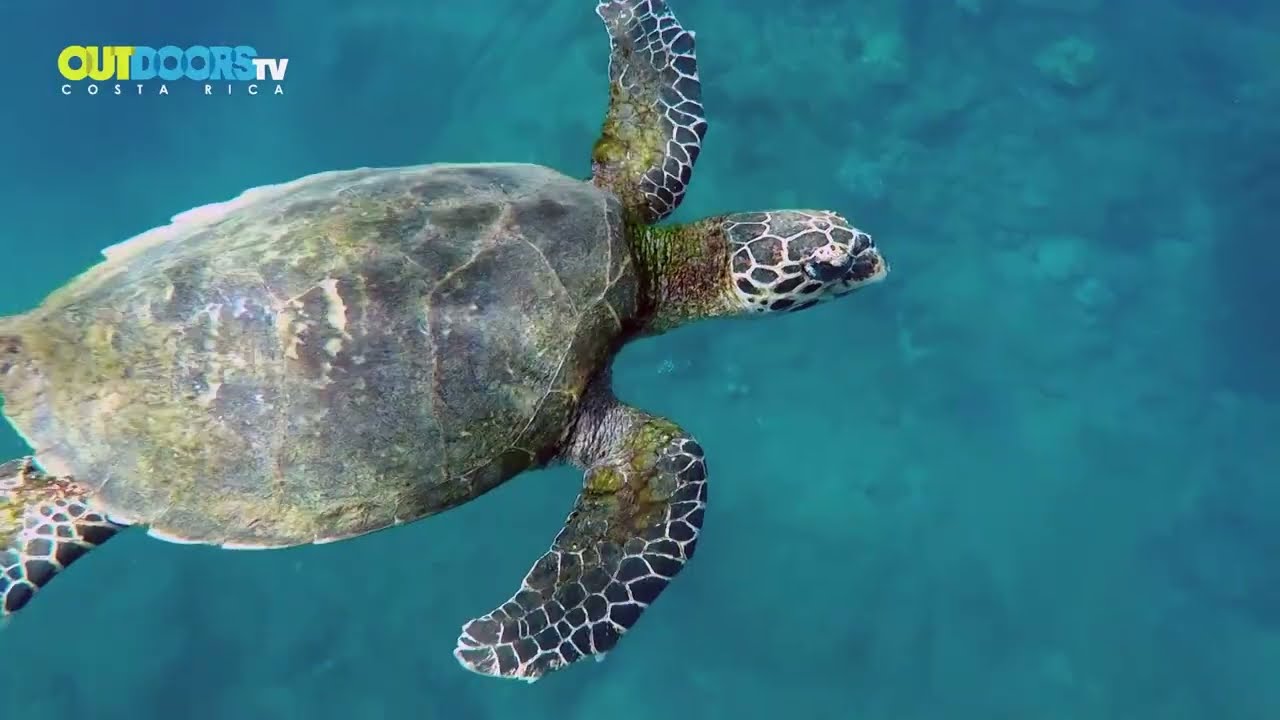 Outdoors TV Costa Rica-Concejos de Destinos para visitar en Costa Rica este 2026