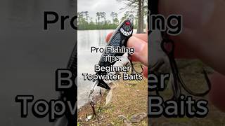 Beginner Guide to Topwater Bass Fishing Baits #fishing #bassfishing #topwater #fishingbaits