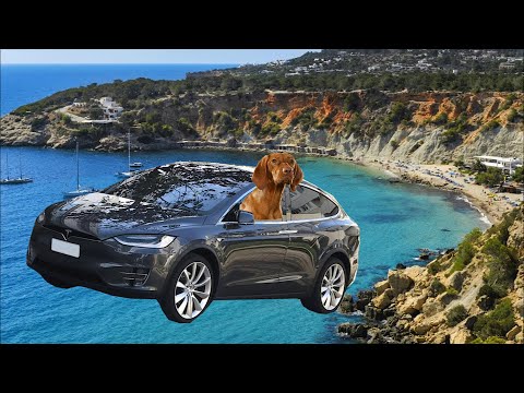 Dear Elon Musk, from Pomplamoose