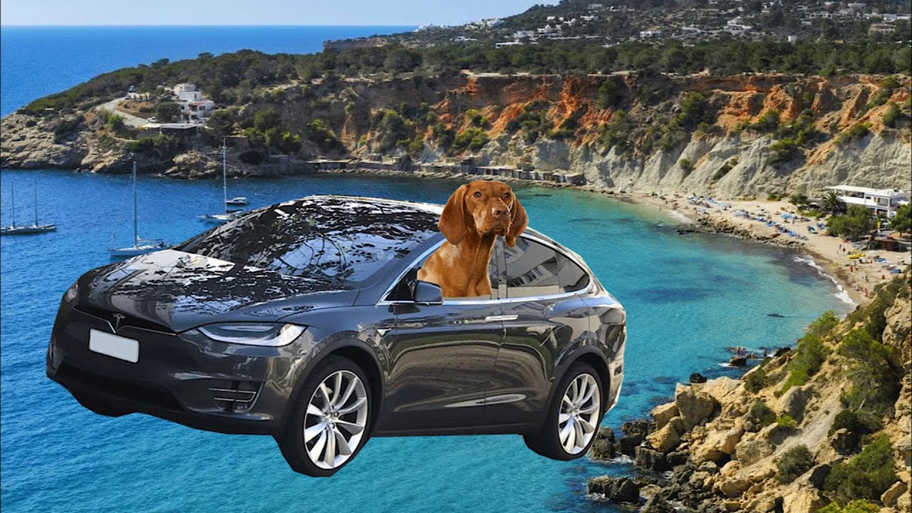 Dear Elon Musk, from Pomplamoose