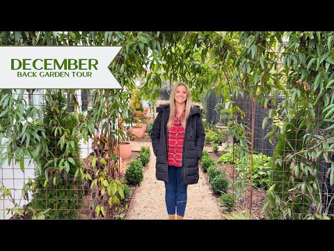 From Secret Garden To The Massive Hugelmound! | December Back Garden Tour