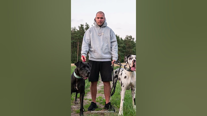BUDDA I BOXDEL otworzyli SPÓŁKĘ!